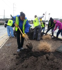3-fp-mulch-2-11_-12cropped
